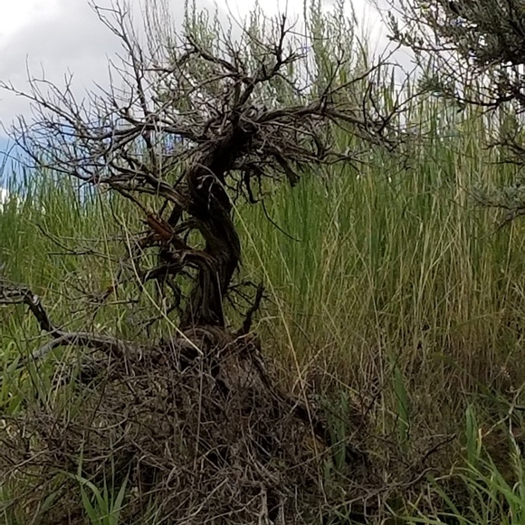 Meet your Posher, B - Picture 1 of 1